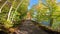 Autumn colors. Colorful fall leaves on forest path. Biking, walking and running trail. From the Laurentians, Quebec