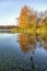 Autumn Colors and Duckweed - Muscatatuck National Wildlife Refuge, Indiana