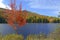 Autumn colors - fall leaves in the Adirondacks, New York