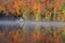 Autumn colors and fog reflections on the lake, Quebec, Canada