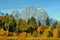 Autumn Colors, Grand Teton National Park, Wyoming