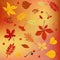 Autumn colors, leaves, seasonal berries background
