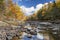 Autumn Colors Lining a Rock-strewn River