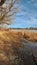 Autumn colors Lions park Cheyenne wyoming