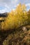 Autumn Colors at Lost Lake Slough with East Beckwith Peak