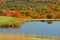 Autumn colors maple trees and pond