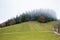 Autumn colors mountain glade with coniferous forest, pine trees and spruces, foggy weather