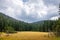 Autumn colors mountain glade with coniferous forest, pine trees and spruces, foggy weather, cloudy sky, gloomy autumn landscape