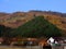 Autumn colors near Zarnesti city