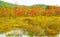 Autumn colors and pond Berkshires Massachusetts