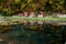 Autumn colors reflected in the water