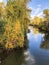 Autumn Colors and Reflections in California