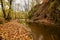 Autumn colors in a slowly flowing creek 1