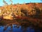 Autumn colors of the subpolar beech forests of Navarino island, Chile - the worldâ€™s southernmost forests