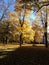 autumn colors in Uppsala, Sweden