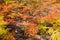 Autumn colors of vegetation around the Chorrillo del Salto waterfall, National Park de los Glaciares, Argentina