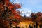 Autumn colors of vegetation around the Laguna Capri with Mount Fitzroy in the background, National Park of Los Glaciares,