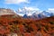 Autumn colors of vegetation around the Laguna Capri with Mount Fitzroy in the background, National Park of Los Glaciares,