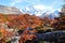 Autumn colors of vegetation around the Laguna Capri with Mount Fitzroy in the background, National Park of Los Glaciares,