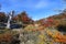 Autumn colors of vegetation around the Laguna Capri, National Park of Los Glaciares, Argentina