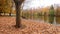 Autumn colours along the riverside with inviting park bench under large tree