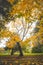 Autumn colours in Citadel park in Ghent, Flanders region, Belgium. Belgian landscape in November. Red-orange-yellow leaves.