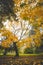 Autumn colours in Citadel park in Ghent, Flanders region, Belgium. Belgian landscape in November. Red-orange-yellow leaves.