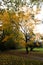 Autumn colours in Citadel park in Ghent, Flanders region, Belgium. Belgian landscape in November. Red-orange-yellow leaves.