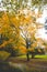 Autumn colours in Citadel park in Ghent, Flanders region, Belgium. Belgian landscape in November. Red-orange-yellow leaves.