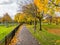 Autumn colours, fall colours, Bruntsfield Links, Edinburgh, Scotland