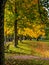 Autumn colours fall colours Bruntsfield Links Holyrood Park Edinburgh Scotland