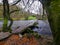 Autumn colours and a full flowing river Barle with the Tarr Steps, Exmoor