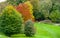 Autumn colours in Ilam Park, Dovedale