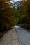 Autumn colours on Mangart panorma road in Slovenia