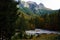 Autumn colours at Mangartski river on Mangart panorma road in Slovenia