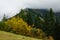 Autumn colours on a mountain at the Rossfeld Panorama road in the Bavarian Alps in Germany