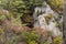 Autumn colours on rock outcrops