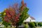 Autumn colours in a Vermont village