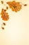Autumn composition with autumn dried leaves of oak tree and acorn on pastel background. Flat lay, copy space