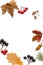 Autumn composition.  branches, dried leaves, berries on white background.