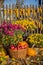 Autumn composition with chrysanthemum flowers, pumpkins, apples in a wicker basket, ceramic pots