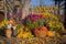 Autumn composition with chrysanthemum flowers, pumpkins, apples in a wicker basket, ceramic pots