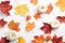 Autumn composition. Colorful maple leaves and pumpkins on white table. Seasonal background. Autumn fall, thanksgiving, harvest