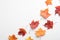 Autumn composition. Colorful maple leaves on white background. Flat lay, top view. Autumn, fall concept