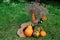 Autumn composition of dried flowers and pumpkins on burlap and green grass with elements of Halloween decor. Soft selective focus