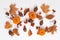 Autumn composition. Dried leaves and pompkins on white background. Top view. Flat lay