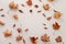 Autumn composition. Dried leaves on white background. Top view. Flat lay.