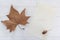 Autumn composition with dry leaf, acorn and blank page for text. Top view