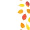 Autumn composition with fall leaves on white background. Flat lay, top view. Autumnal concept