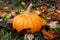 Autumn composition. Fall season. Pumpkin on rustic background. Mabon, Halloween.